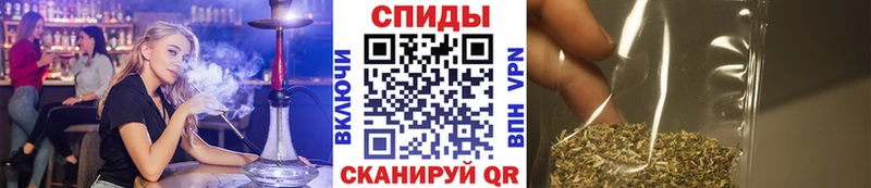 omg как войти  купить наркоту  Новоржев  БУТИРАТ 1.4BDO 