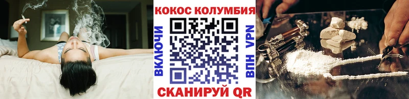 как найти наркотики  Новоржев  MEGA ссылка  Кокаин 98% 