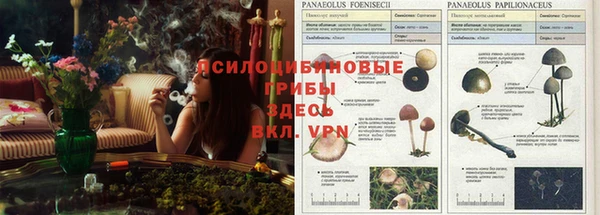 2c-b Бронницы