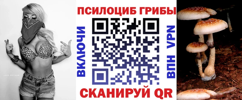 ссылка на мегу вход  где купить   Новоржев  Галлюциногенные грибы GOLDEN TEACHER 